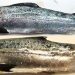 Ejemplos de mortalidad temprana del salmón del Atlántico. Peces en mal estado, con un factor de condición de 0,85 (A) y con lesiones cutáneas (B). El pez A murió al día siguiente de la infección y el pez B a los nueve días. La escala indica 1 cm. Créditos: Estudio.