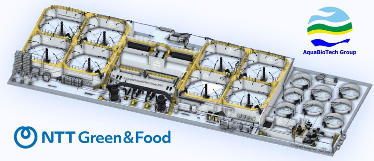 NTT Green & Food lanza RAS de Coho y trucha en Japón con AquaBioTech. Imagen: AquaBioTech