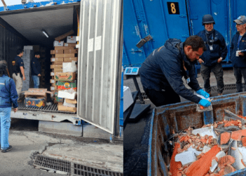 Fiscalía y robo de salmones: “No son delitos aislados, es criminalidad organizada”