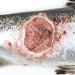 Revisan regulación salmonera tras mortalidad masiva y miran hacia el modelo chileno