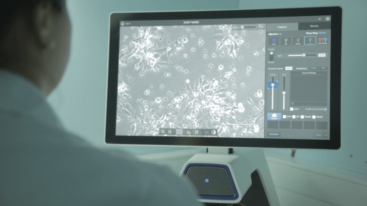 INCAR llega a la Sea Lice Conference 2025 con avances claves en biología, genómica y control del piojo de mar