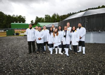En el génesis del salmón: Piscicultura de Hendrix Genetics Chile en La Araucanía devela secretos de su programa genético
