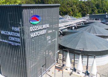 Ecosalmon inaugura su nueva sala de vacunación automática con tecnología de PHARMAQ