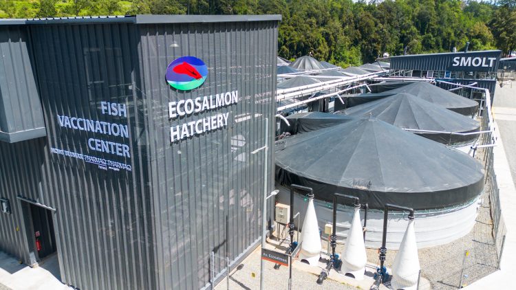 Ecosalmon inaugura su nueva sala de vacunación automática con tecnología de PHARMAQ