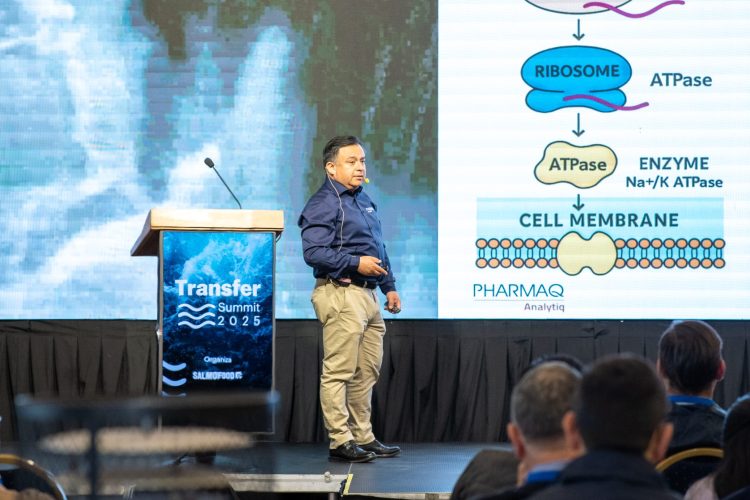 Claudio Arcos, Project Manager de Pharmaq Analytiq. Foto: InfoSALMON