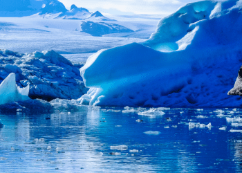 CCRVMA 2025: Una base para la protección antártica