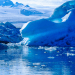 CCRVMA 2025: Una base para la protección antártica
