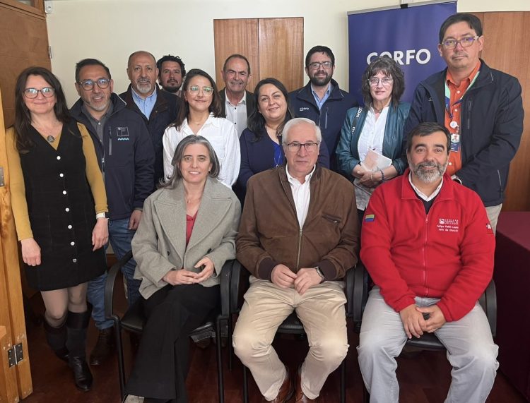 Gobernanza PTI Industria Sostenible del Salmón