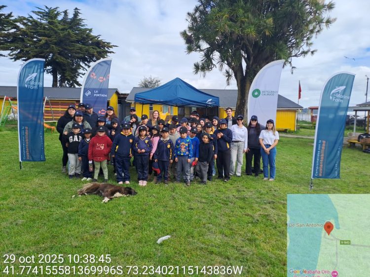 Astilleros Calbuco refuerza su compromiso ambiental en Calbuco. Foto: Astilleros Calbuco