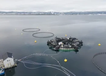 Noruega abre nueva vía regulatoria para mantener producción en zonas rojas con sistemas cerrados