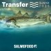 Transfer Summit 2025
