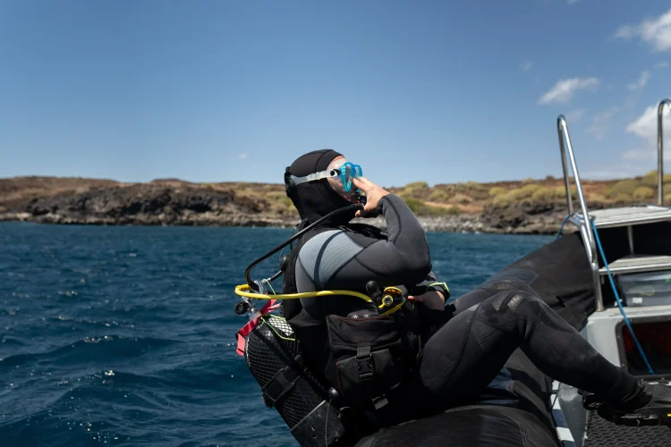 Ley buceo Senado