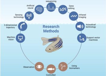 Más allá del cortisol: profundizan en la estrategia nutricional que redefine la resiliencia en la acuicultura