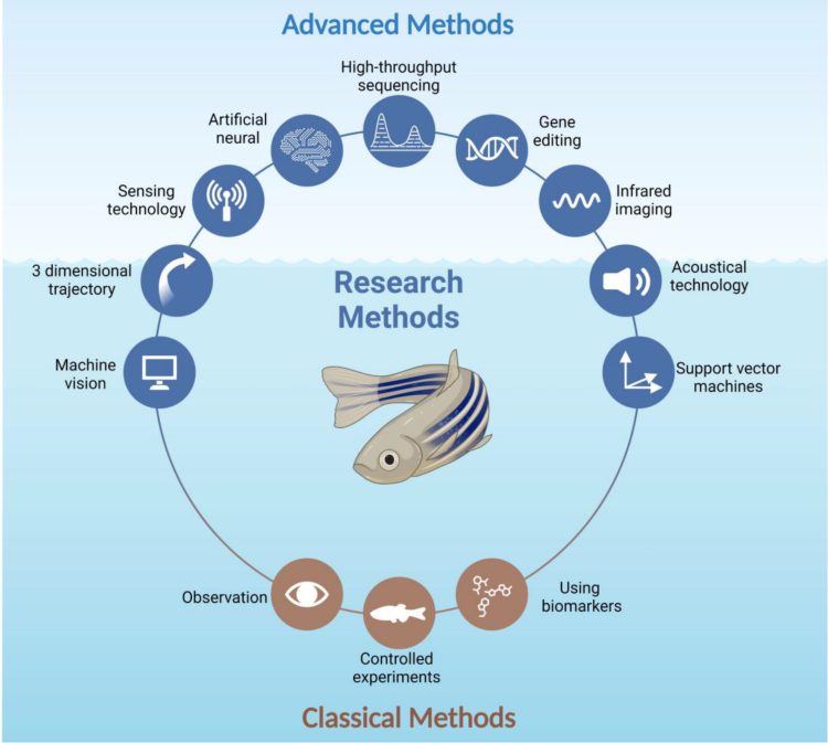 Este diagrama destaca los métodos de investigación utilizados en los estudios sobre nutrición y estrés acuático. Créditos: Estudio.