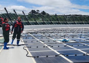 Energía limpia en acción: Destacan liderazgo sustentable de Mowi y Copec en Calbuco