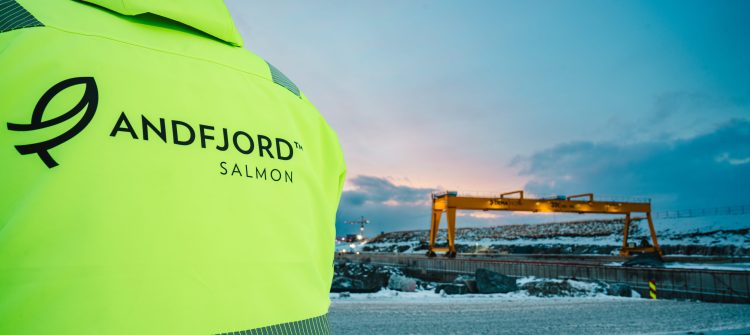 Foto: Andfjord Salmon
