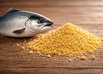 Cuando la biotecnología entra en la dieta del salmón: levadura Torula como aliada para una acuicultura más sostenible