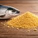 Cuando la biotecnología entra en la dieta del salmón: levadura Torula como aliada para una acuicultura más sostenible