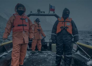 Nova Austral reafirma producción 100% libre de antibióticos