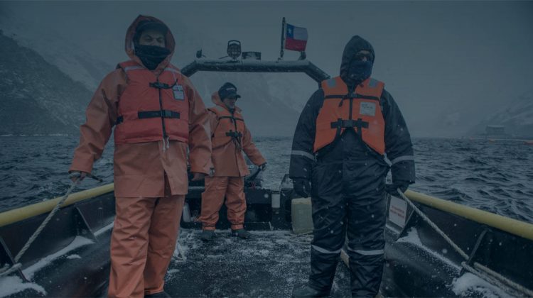 Nova Austral reafirma producción 100% libre de antibióticos