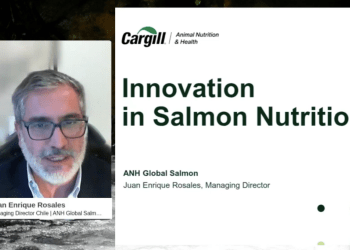 Cargill apuesta por “nutrición de precisión” y modelos bioenergéticos para seguir bajando el FCR del salmón en Chile