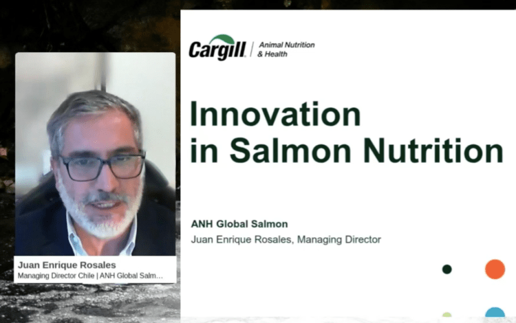 Cargill apuesta por “nutrición de precisión” y modelos bioenergéticos para seguir bajando el FCR del salmón en Chile