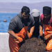 Tecnología modernizará la acuicultura de pequeña escala en Coquimbo