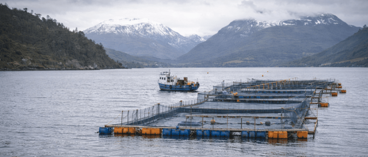 Plan costero indígena en Los Lagos reabre tensiones entre el Estado y sectores productivos