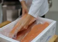 Siempre fresco: el sistema que garantiza pescado de calidad todo el año