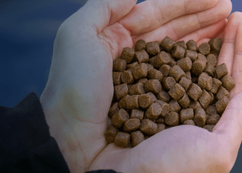 ASC marca 3 años y 91 molinos certificados en la transformación del alimento acuícola