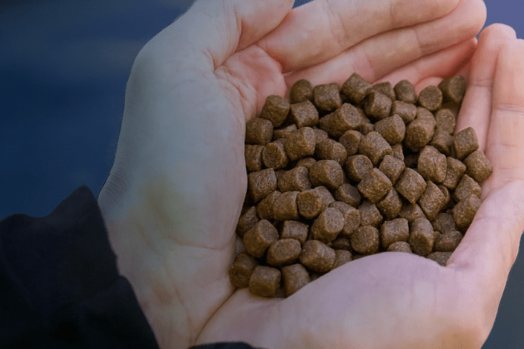ASC marca 3 años y 91 molinos certificados en la transformación del alimento acuícola