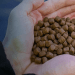 ASC marca 3 años y 91 molinos certificados en la transformación del alimento acuícola