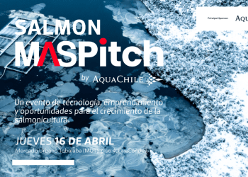Salmon MAS Pitch: AquaChile convoca a startups para vincular innovación y salmonicultura