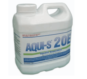 AQUI-S®: innovación que eleva el bienestar animal y la eficiencia en la acuicultura moderna