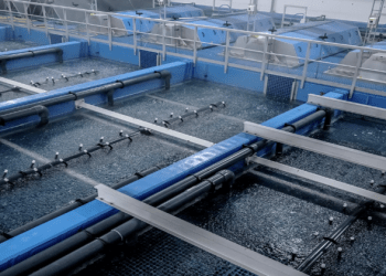 AKVA Group refuerza la ciencia y la documentación para optimizar la salud de los smolts en sistemas RAS