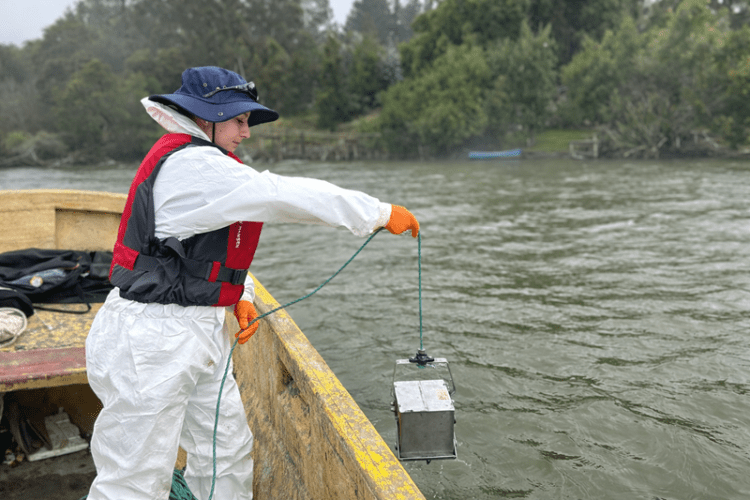Tecnología chilena de acuicultura busca devolverle la vida al Lago Vichuquén