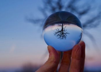 Reiniciar la sustentabilidad: ciencia propone poner a la naturaleza en la base del desarrollo