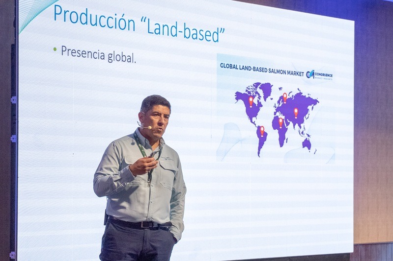 Genética abre paso a nuevos modelos productivos en la salmonicultura