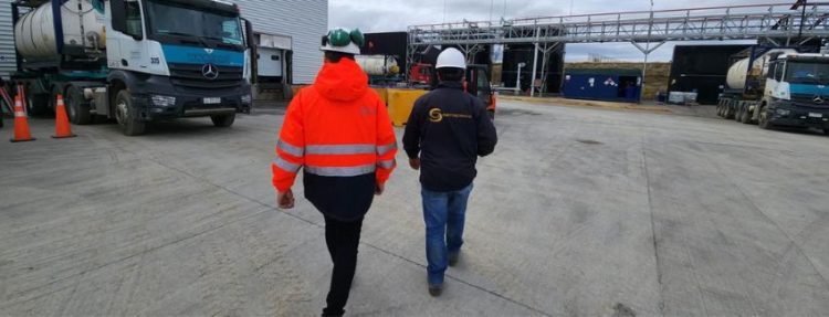 Corte Suprema ratifica sanciones contra empresas salmoneras