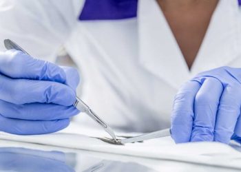 Genética abre paso a nuevos modelos productivos en la salmonicultura