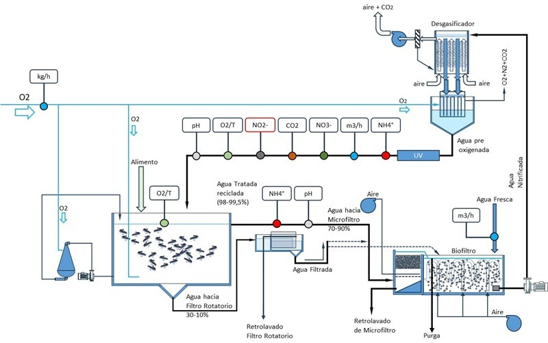 Ingeniería RAS de precisión: el diseño inteligente que redefine la acuicultura moderna