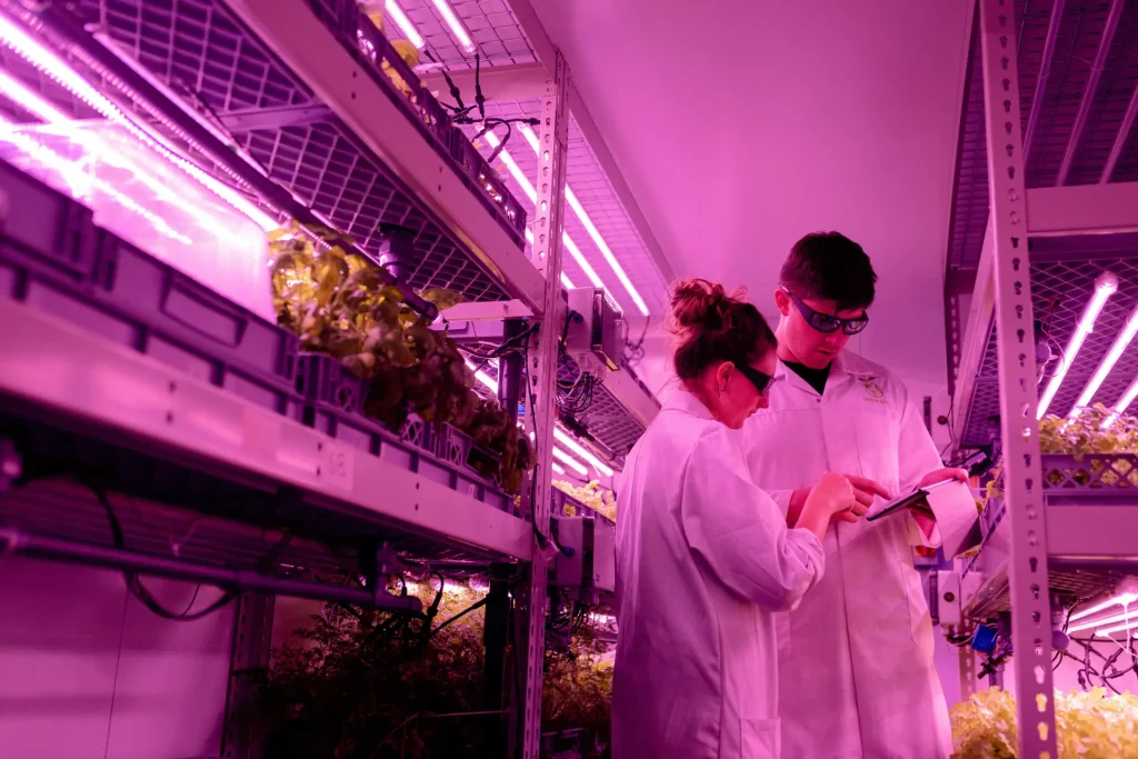 Salud y bienestar en la salmonicultura: soluciones no farmacológicas ganan terreno