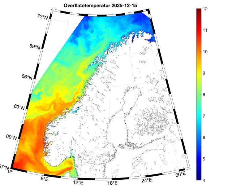 2025: el año más cálido registrado en el mar a lo largo de la costa noruega