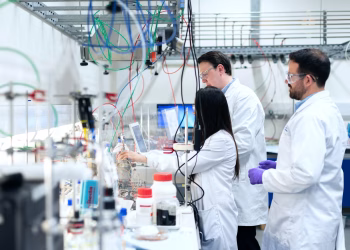 Patagon Lab proyecta consolidación y expansión para 2026