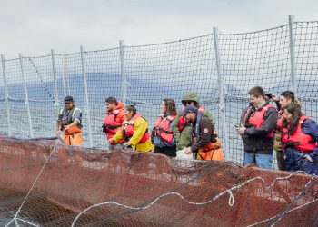 Transparencia, innovación y territorio: Mowi Chile lanza nueva versión de Turismo Salmonero en Aysén