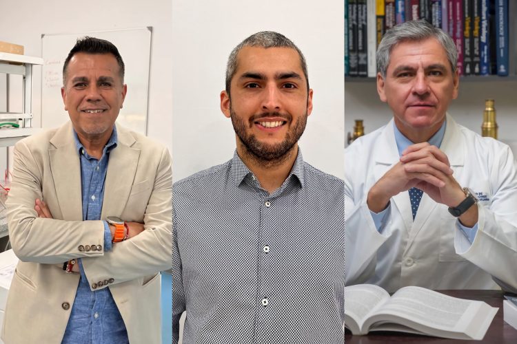 Salud bajo presión: panorama y proyecciones de las enfermedades en la salmonicultura chilena