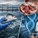 El ADN como aliado contra la enfermedad branquial compleja en el salmón del Atlántico