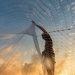 Acuicultura contraataca: Global Seafood Alliance desmiente “mitos” sobre la pisciculturas