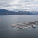 Puerto Natales: El verano donde los cruceros y el salmón se encuentran en los fiordos