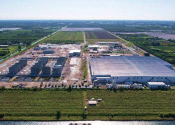 Atlantic Sapphire busca nuevo salvavidas financiero para sostener su apuesta por el salmón en tierra